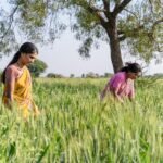 Planting Tomorrow: Environmental Stewardship and Green Campaigns